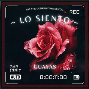 Guayas - Lo Siento