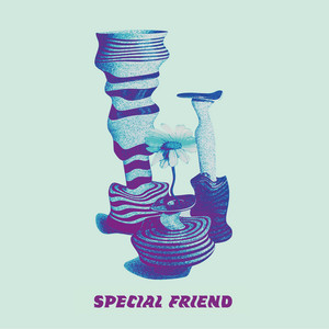 Wonder Why by Special Friend