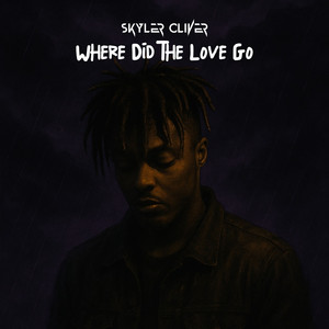 Where Did The Love Go by Skyler Oliver