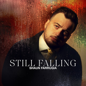 Still Falling by Shaun Farrugia