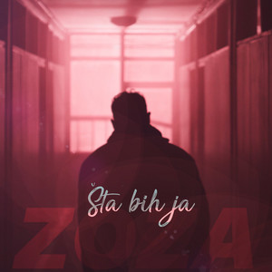 Zoza - Šta bih ja