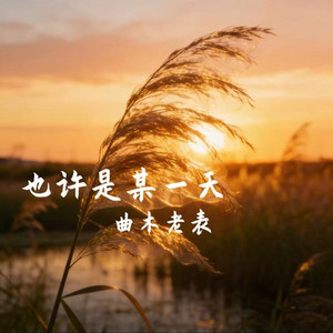 也许是某一天 by 曲木老表