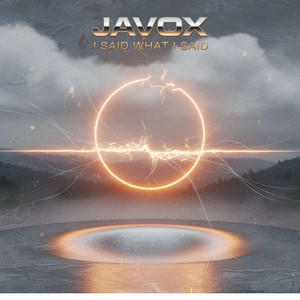 I Said What I Said by JaVox