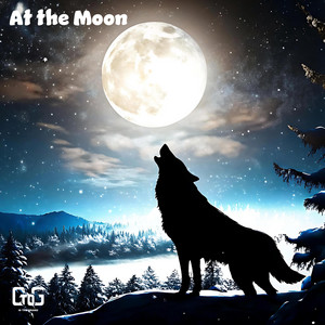 Jaime Espinel - At the Moon