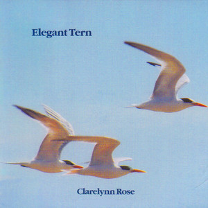 Copperfield by Clarelynn Rose