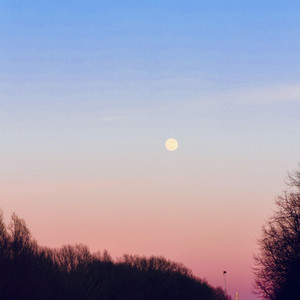 Looking For You by Polar Minds, MrLowlander