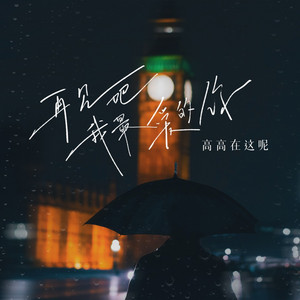 再见吧我最爱的你 - 伴奏 by 高高在这呢