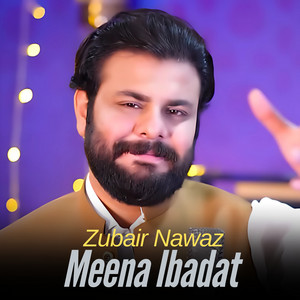 Zubair Nawaz - Meena Ibadat