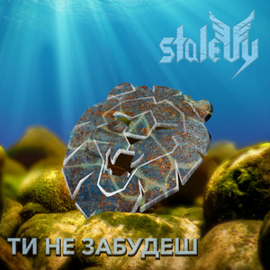 STALEVY — Ти не забудеш