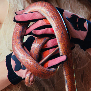 Disgusting Sisters — Weirdo Magnet (2026)