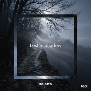 Lost in Shadow by salotto