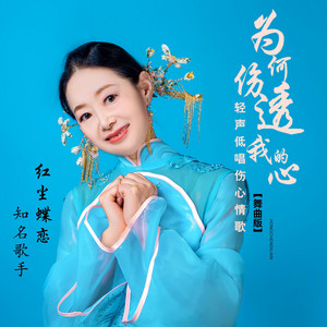 为何伤透我的心 (舞曲版)