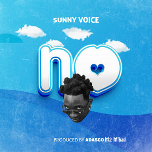 SUNNY VOICE - No