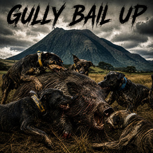 GULLY BAIL UP by TIP323
