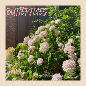 Butterflies by Haaniel