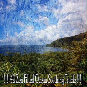 ! ! ! ! 49 Zen Filled Ocean Soothing Tracks ! ! ! ! album
