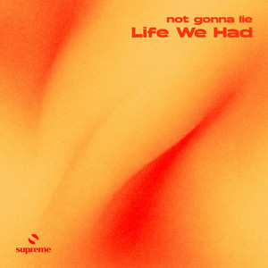 Life We Had by not gonna lie