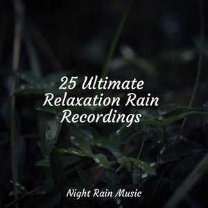 25 Ultimate Relaxation Rain Recordings album