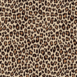 Leopard Prints by Ochehimself