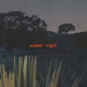 Summer Night by Niklas Ljungfelt