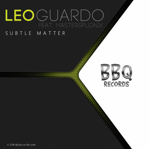 Subtle Matter cover art