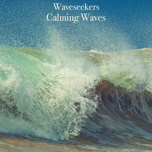 Big Pacific Waves by Waveseekers