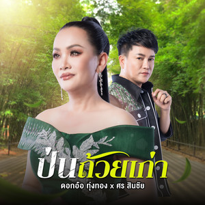 Dokor Thoongthong - ป่นถ้วยเก่า (feat. ศร สินชัย)