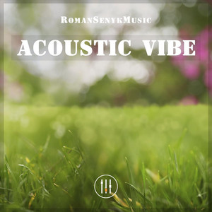 Romansenykmusic - Acoustic Vibe