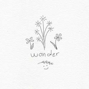 wonder by beetlesinthesunshine