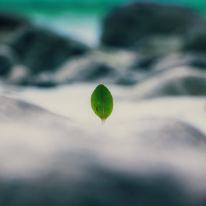 Hope Below