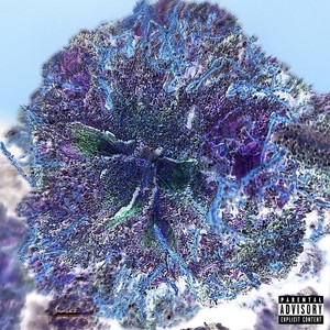 Head Space by Roh
