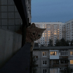ФРУКТОВЫЙ 1.0