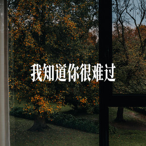 我知道你很难过 - R&B男声 by 小仓鼠要早睡