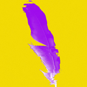 Xavier Rudd — Spirit Bird (2026)