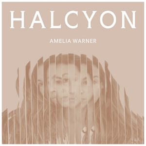 Quiet Ghosts by Amelia Warner