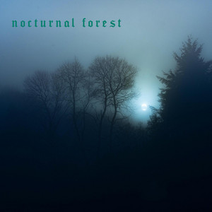 raevr - Nocturnal Forest