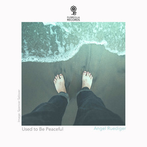 Used to Be Peaceful by Angel Ruediger