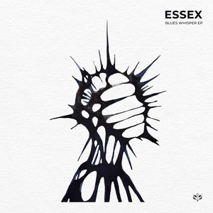 fernn — Blues Whisper EP (2026)