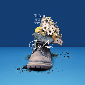 Walk on your way by Eir Aoi