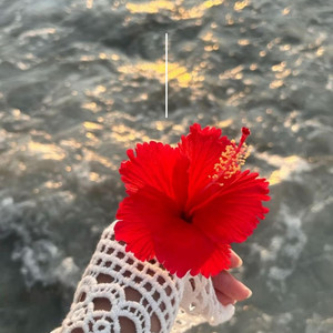 Como flored by Alane Teisha