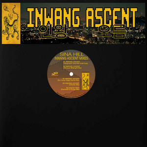 DODGY MAN (Sawteeth's Dodgy Remix) by Sina Hill, Sawteeth