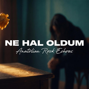 Ben Sana Gönül Vereli Bak Ne Hal Oldum by Anatolian Rock Echoes