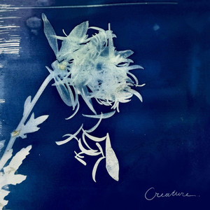 album cover: Creature