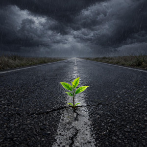 Matvik - Рухатись Далі