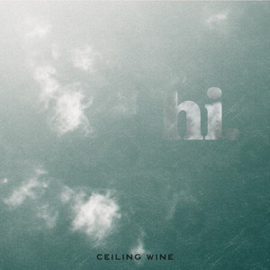 Guy Wearing Grey by Ceiling Wine