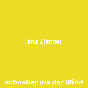 schneller als der Wind