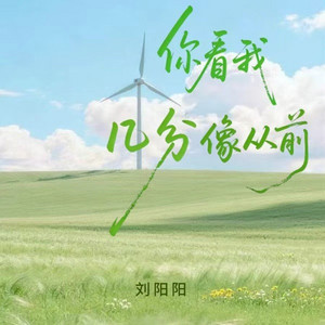 你看我几分像从前 by 刘阳阳