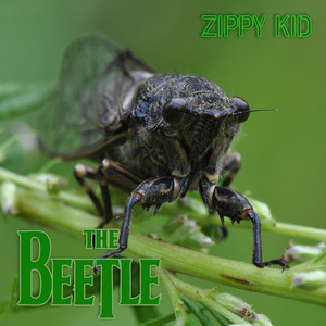 The Beetle