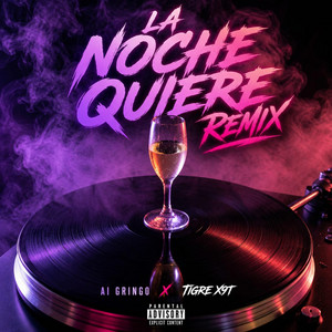 La Noche Quiere - Remix by Ai Gringo, Tigre X9T