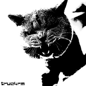 Fighting Cats
